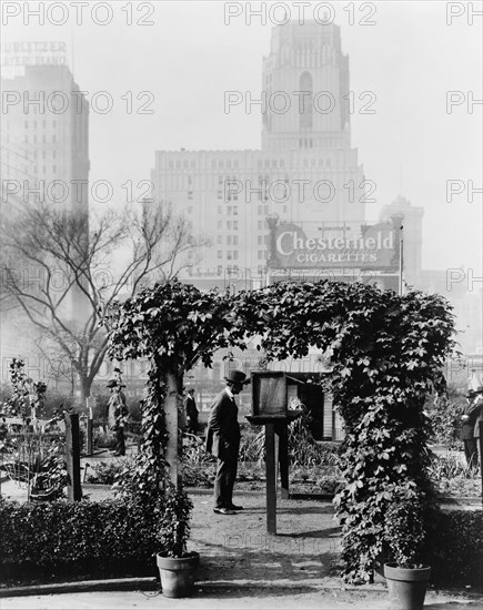 Demonstration garden, Bryant Park, 42nd Street and Fifth Avenue, New York, New York, 1918. Creator: Frances Benjamin Johnston.