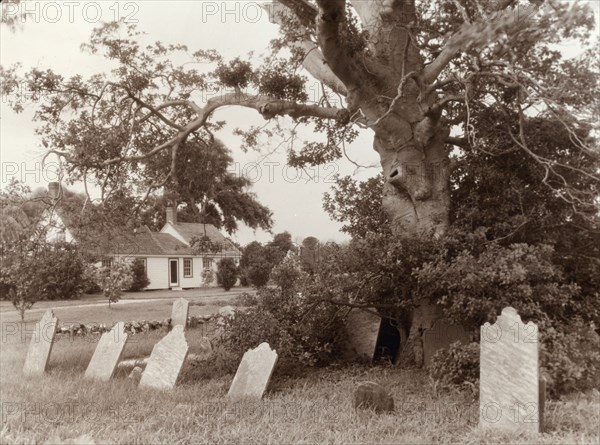 Warwick, Quinby vicinity, Accomac County, Virginia, between c1930 and 1939. Creator: Frances Benjamin Johnston.