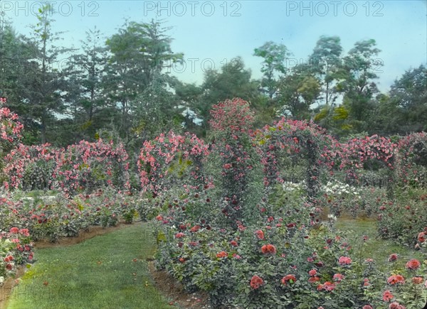 Lyndhurst, Finley Johnson Shepard house, 635 South Broadway, Tarrytown, New York, c1914. Creator: Frances Benjamin Johnston.