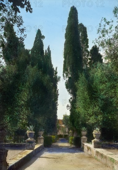 Villa d'Este, Tivoli, Lazio, Italy, 1925. Creator: Frances Benjamin Johnston.