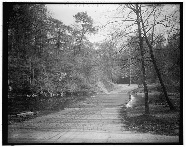 Rock Creek Park scenes, between 1910 and 1920. Creator: Harris & Ewing.