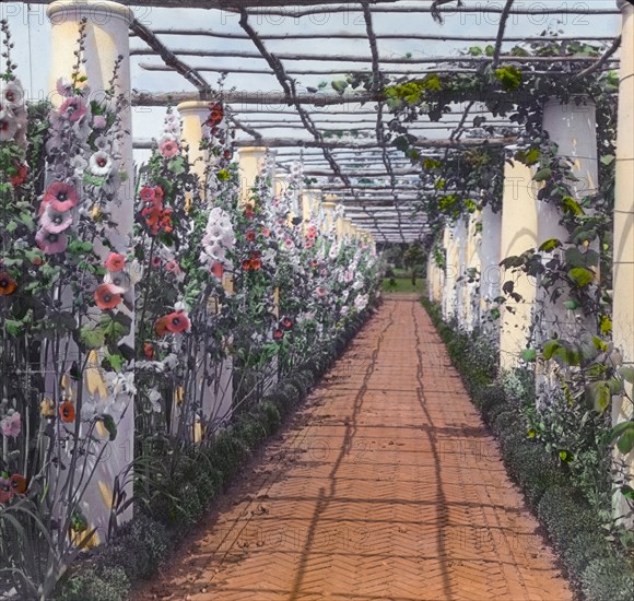 George Warrington Curtis house, Southampton, New York, 1914 or 1915. Creator: Frances Benjamin Johnston.