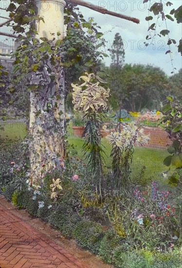 George Warrington Curtis house, Southampton, New York, 1914 or 1915. Creator: Frances Benjamin Johnston.