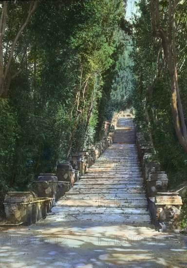 Villa d'Este, Tivoli, Lazio, Italy, 1925. Creator: Frances Benjamin Johnston.