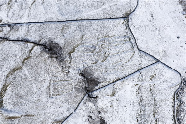 Earthwork remains of hut circles and enclosures, Top Cow Pasture, near Ingleborough, N Yorks, 2018. Creator: Emma Trevarthen.