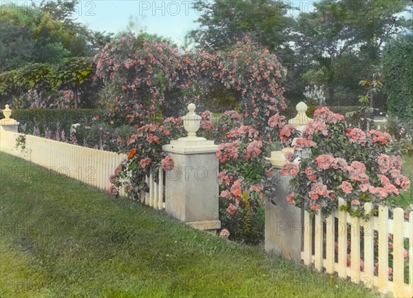 Westlawn, Edward Tiffany Dyer house, Great Plains Road, Southampton, New York, c1915. Creator: Frances Benjamin Johnston.