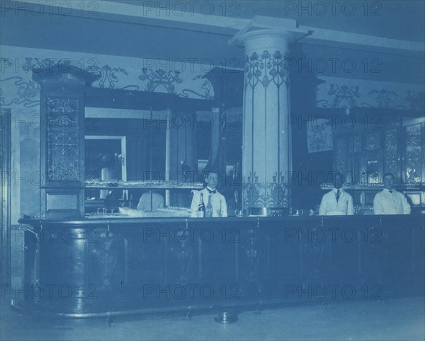 Willard Hotel bar, between 1901 and 1910. Creator: Frances Benjamin Johnston.