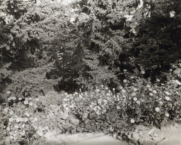 Elk Rock, Peter Kerr house, 11800 SW Military Lane, Portland, Oregon, 1923. Creator: Frances Benjamin Johnston.