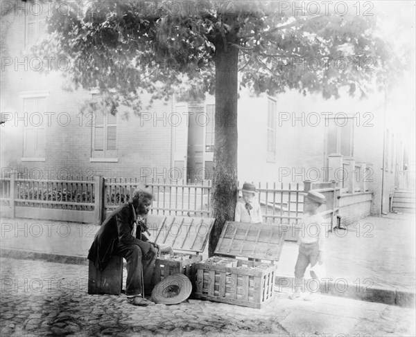 Old African-American man selling strawberries on street, Washington, D.C. - two small..., c1900. Creator: Frances Benjamin Johnston.