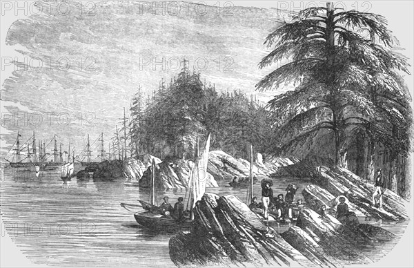 'Landing of the French Troops at the Island of Trescos-- one of the Aland Group', 1854. Creator: Unknown.