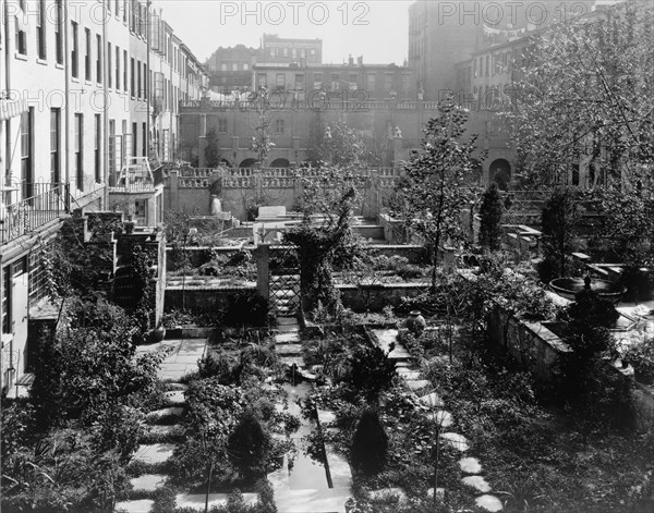 Backyard gardens in New York City, 1920. Creator: Frances Benjamin Johnston.