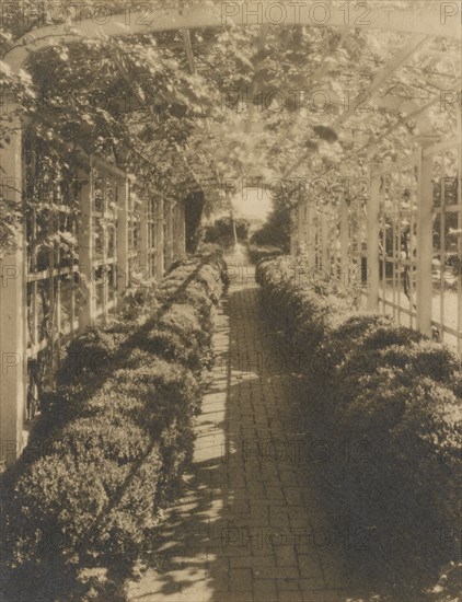 Grape arbor, George Read II house...New Castle, Delaware, 1928. Creator: Frances Benjamin Johnston.