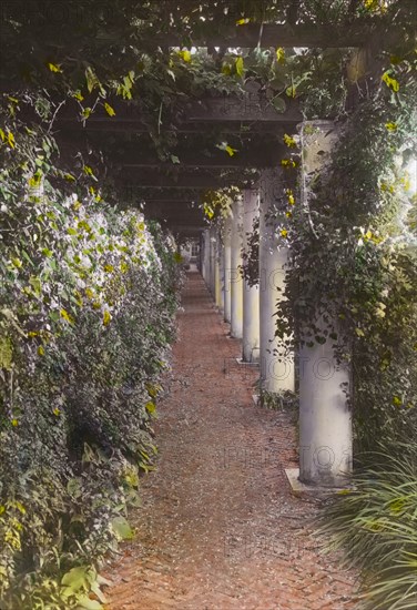 The Orchard, James Lawrence Breese house, 151 Hill Street, Southampton, New York, 1912. Creator: Frances Benjamin Johnston.