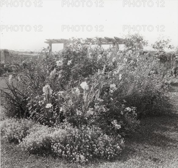 Gray Gardens, Robert Carmer Hill house, Lily Pond Lane, East Hampton, New York, c1914. Creator: Frances Benjamin Johnston.