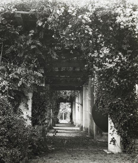 The Orchard, James Lawrence Breese house, 151 Hill Street, Southampton, New York, 1912. Creator: Frances Benjamin Johnston.