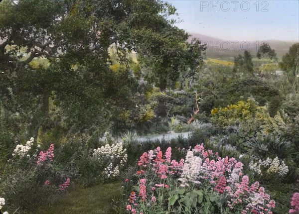 El Cerrito, Edward Larned Ryerson Jr. house, Hot Springs Road, Santa Barbara, California, 1917. Creator: Frances Benjamin Johnston.