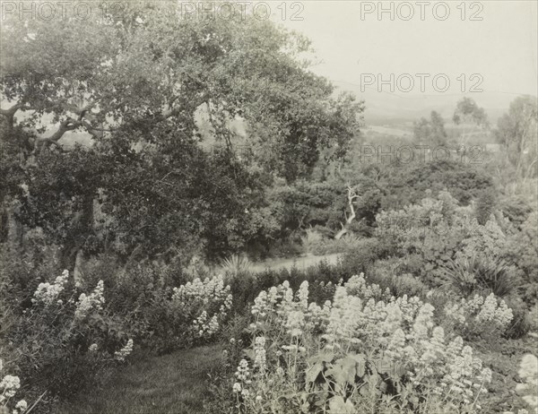 El Cerrito, Edward Larned Ryerson Jr. house, Hot Springs Road, Santa Barbara, California, 1917. Creator: Frances Benjamin Johnston.