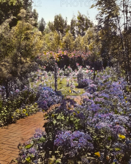 Senuelo, Edward Ditmars Wetmore house, 1050 Channel Drive, Montecito, California, 1917. Creator: Frances Benjamin Johnston.