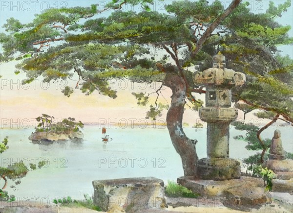 Reproduction of illustration: "Pine-Tree at Matsushma", between 1915 and 1925. Creator: Frances Benjamin Johnston.