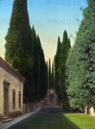 Villa d'Este, Tivoli, Lazio, Italy, 1925. Creator: Frances Benjamin Johnston.