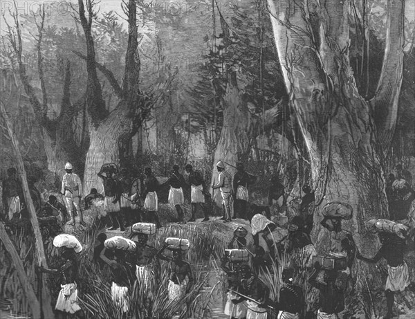 'The Graphic' Stanley Number; The Vanguard of the Expedition Marching throughthe Primaeval Forest', Creator: Unknown.