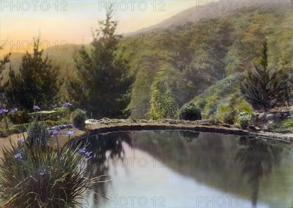 William Alexander Spinks, Jr., ranch, Foothill Boulevard, Duarte, California, 1917. Creator: Frances Benjamin Johnston.