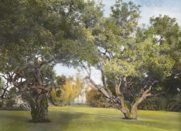 La Chiquita, Francis Townsend Underhill house, Channel Drive, Montecito, California, 1917. Creator: Frances Benjamin Johnston.