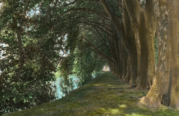 Chateau of Courances, Courances, Seine-et-Marne, France, 1925. Creator: Frances Benjamin Johnston.