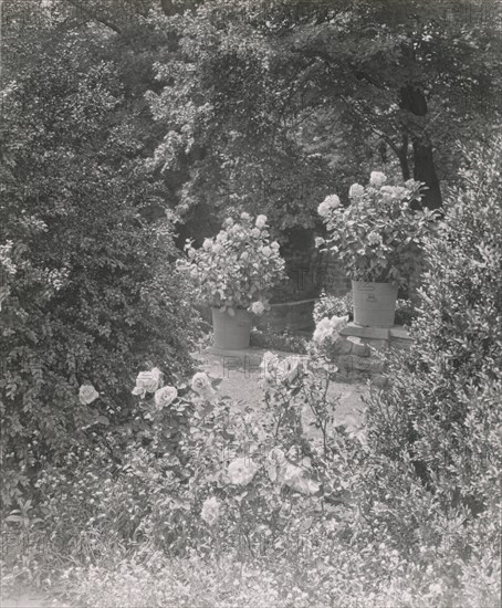 Stonehurst, Charles William Henry house, Cherokee Street, Chestnut Hill, Pennsylvania, 1919. Creator: Frances Benjamin Johnston.