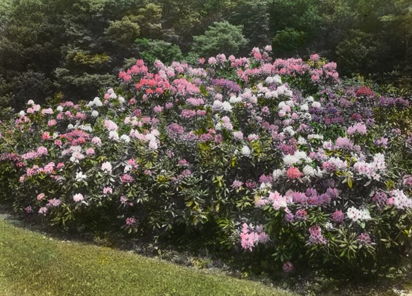 George Fisher Baker house, Tuxedo Park, New York, c1913. Creator: Frances Benjamin Johnston.