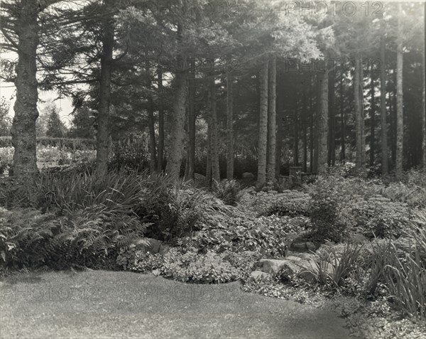 Thornewood, Chester Thorne house, Lakewood, Washington, 1923. Creator: Frances Benjamin Johnston.