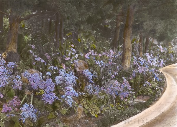 Kimberly Crest, John Alfred Kimberly house, 1325 Prospect Drive, Redlands, California, 1917. Creator: Frances Benjamin Johnston.