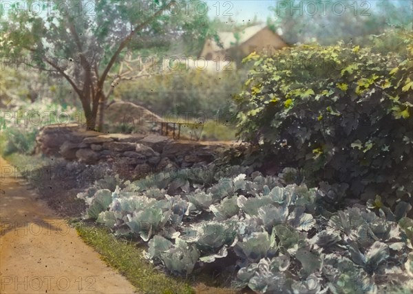 Chelmsford, Elon Huntington Hooker house, Greenwich, Connecticut, c1914. Creator: Frances Benjamin Johnston.