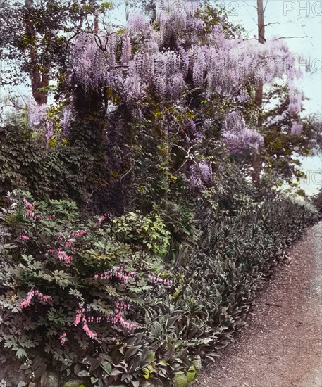 Willowmere, Rear Admiral Aaron Ward house, 435 Bryant Avenue, Roslyn Harbor, New York, c1914. Creator: Frances Benjamin Johnston.