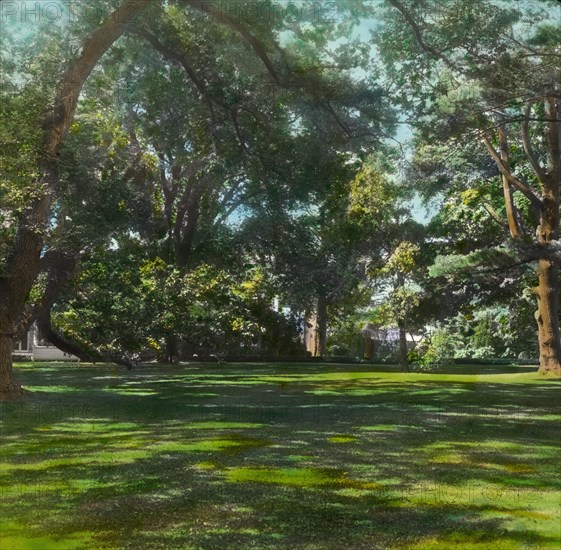 Oakland Farm, Alfred Gwynne Vanderbilt house, East Main Road, Portsmouth, Rhode Island, 1914. Creator: Frances Benjamin Johnston.