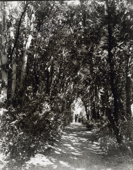 Hickory Hill, house of Henry Taylor Wickham, Ashland, Hanover County, Virginia, 1927. Creator: Frances Benjamin Johnston.