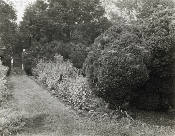 Redlands, Polly Coles and Sally Randolph Carter house, Carter's..., Covesville, Virginia, 1926. Creator: Frances Benjamin Johnston.