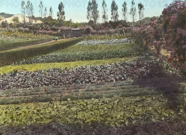 Beacon Hill House, Arthur Curtiss James house, Beacon Hill Road, Newport, Rhode Island, 1917. Creator: Frances Benjamin Johnston.