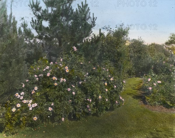 Beacon Hill House, Arthur Curtiss James house, Beacon Hill Road, Newport, Rhode Island, 1917. Creator: Frances Benjamin Johnston.