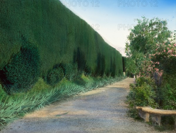 Villa Gamberaia, Settignano, Tuscany, Italy, 1925. Creator: Frances Benjamin Johnston.