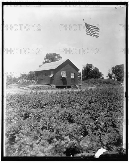 National Emergency, between 1910 and 1920. Creator: Harris & Ewing.