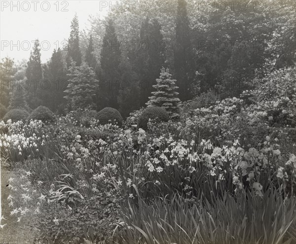 Killenworth, George Dupont Pratt house, Glen Cove, New York, c1918. Creator: Frances Benjamin Johnston.