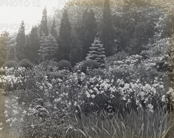 Killenworth, George Dupont Pratt house, Glen Cove, New York, c1918. Creator: Frances Benjamin Johnston.