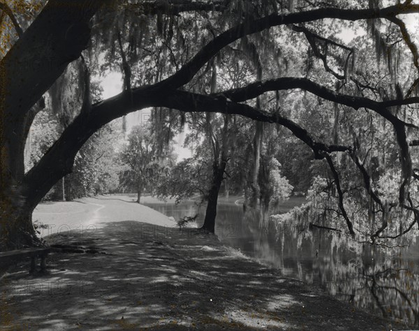 Middleton Place, John Julius Pringle Smith house, 4300 Ashley River Road, Charleston, 1928. Creator: Frances Benjamin Johnston.