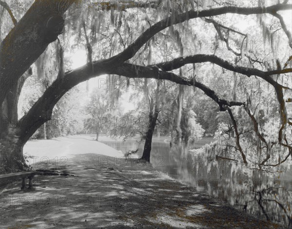 Middleton Place, John Julius Pringle Smith house, 4300 Ashley River Road, Charleston, 1928. Creator: Frances Benjamin Johnston.