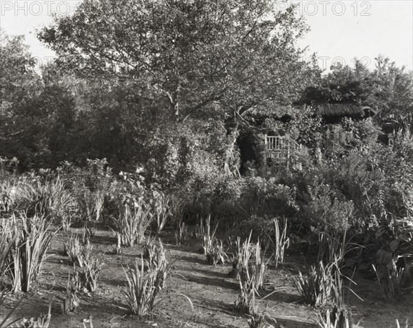 Grey-Croft, Stephen Swete Cummins house, Huntting Lane, East Hampton, New York, 1913. Creator: Frances Benjamin Johnston.