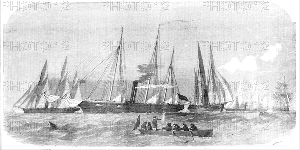 Her Majesty's Despatch Gun-Boats, 1854. Creator: Smyth.