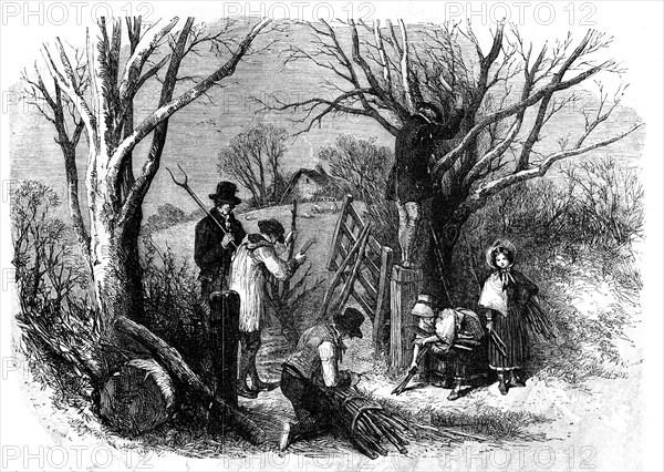 Cutting the Ashen Fagots; Devonshire, 1854. Creator: Edmund Evans.