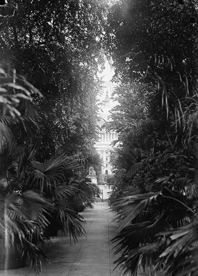 Botanical Gardens, 1917 or 1918.