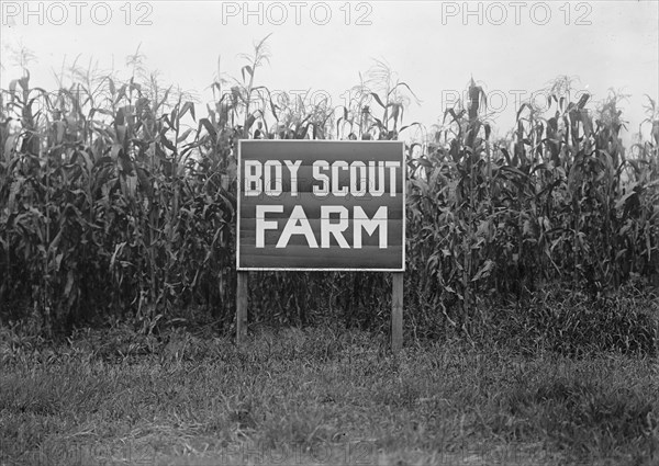 Boy Scouts, Boy Scout Farm, 1917.